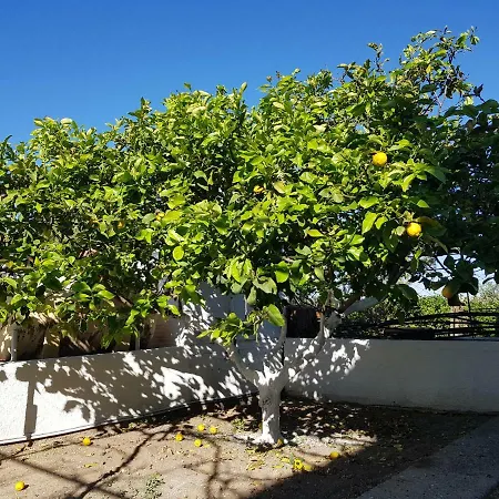The Address - Beach House Lárnaca