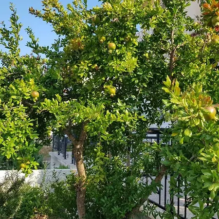 Casa vacanze The Address - Beach House